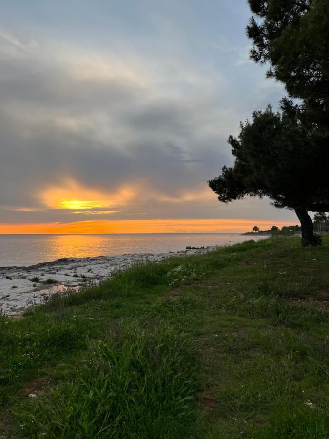 House Spina Villa Pelegrin Dış mekan fotoğraf